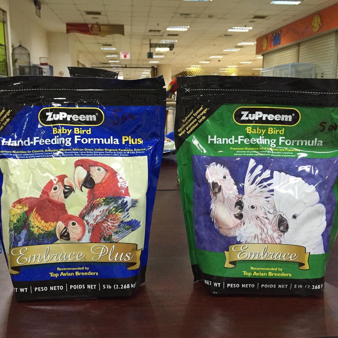 ZuPreem Baby Bird Hand Feeding Formula